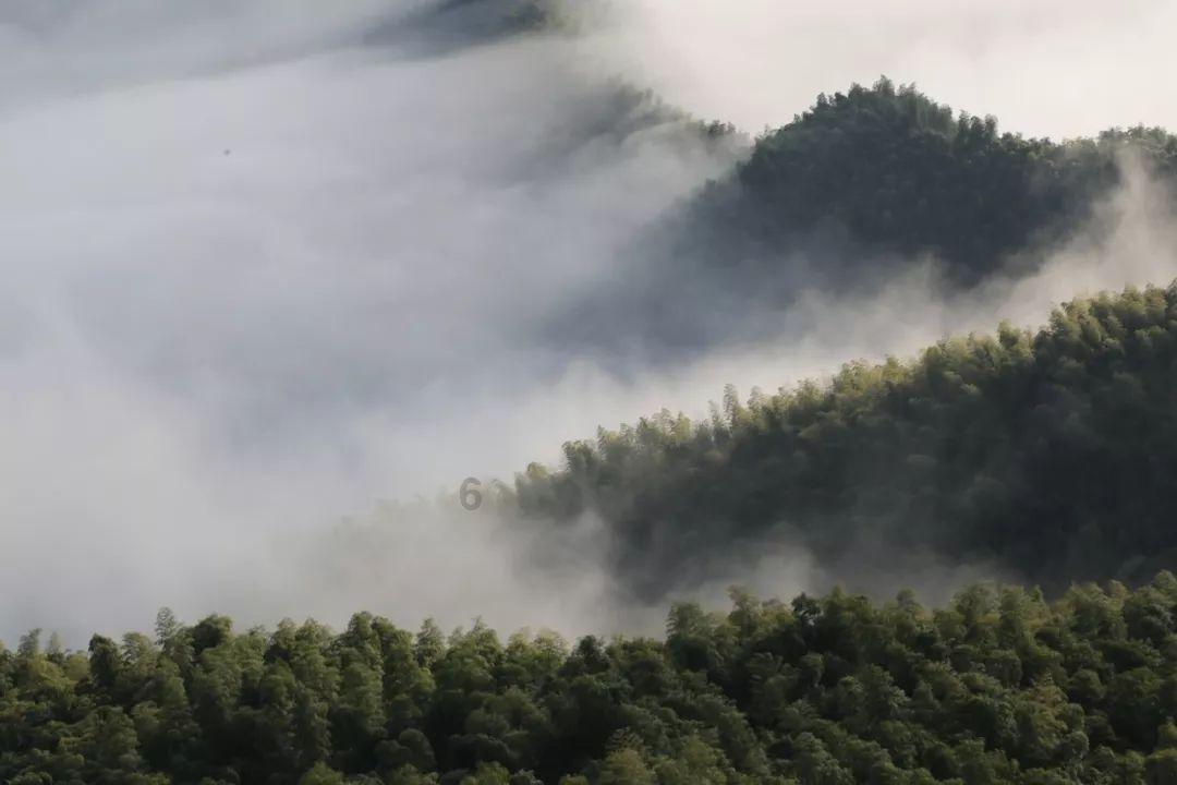 荒野八人组