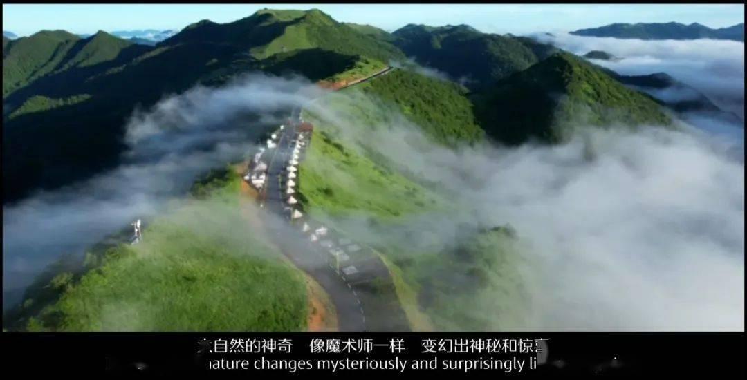 奇特的方块世界